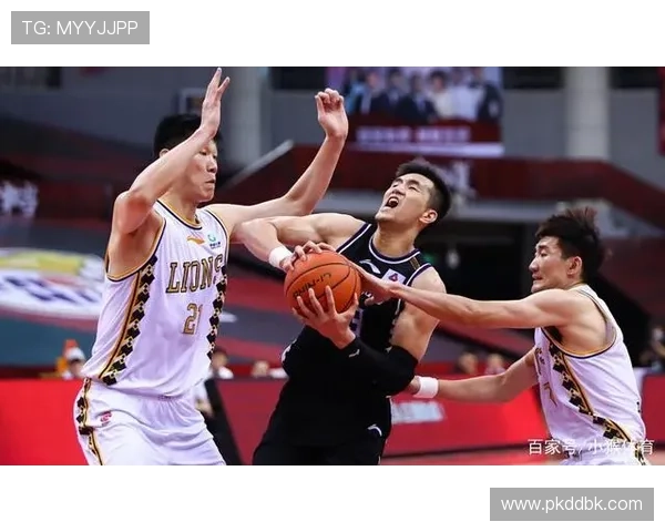 上海篮球队灵活性排名提升至第五名引发关注与讨论