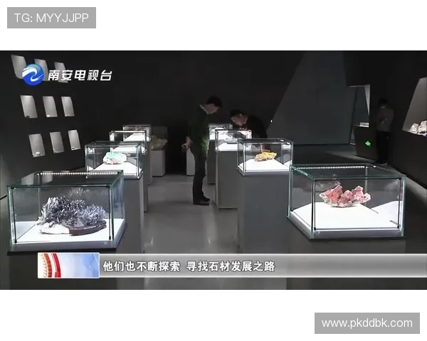 南京排球队的转型之路探索与挑战并存的冠军赛特别报道 南京排球队的转型之路探索与挑战并存的冠军赛特别报道