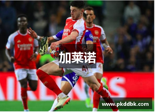 加莱诺