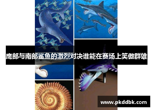 鹰部与南部鲨鱼的激烈对决谁能在赛场上笑傲群雄